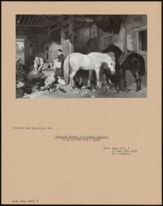 Farmyard Animals In The Stable Interior