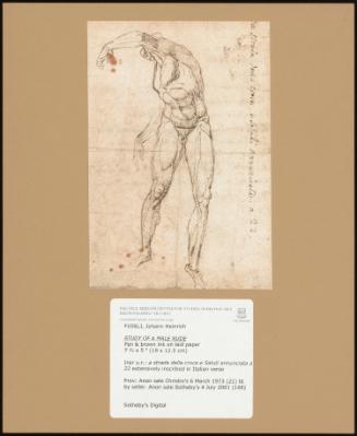 STUDY OF A MALE NUDE