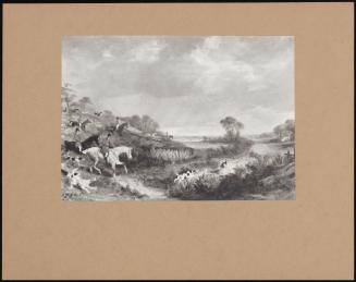 An Extensive Landscape