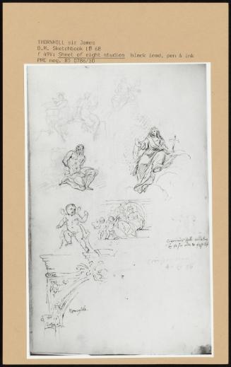 F 49v: Sheet Of Eight Studies