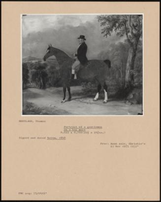 Portrait Of A Gentleman On A Bay Mare