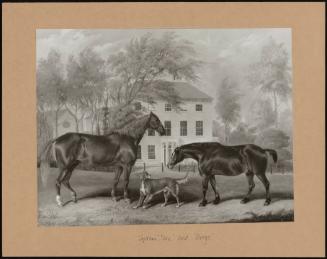 captain don And george, Two Horses And A Dog In A Landscape