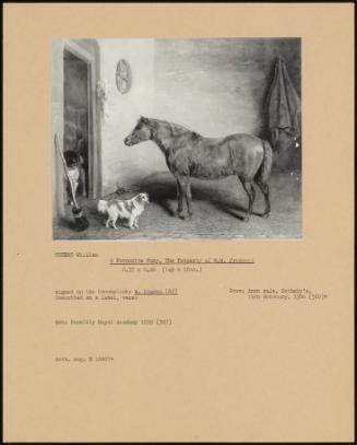 A Favourite Pony, The Property Of W.W. Prescott