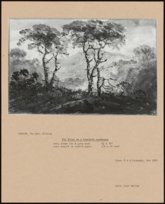 Fir Trees In A Mountain Landscape