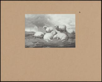 Sheep In A Stormy Landscape