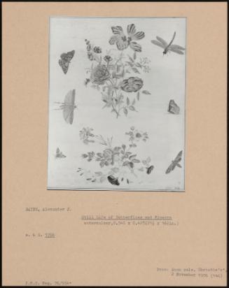 Still Life Of Butterflies And Flowers