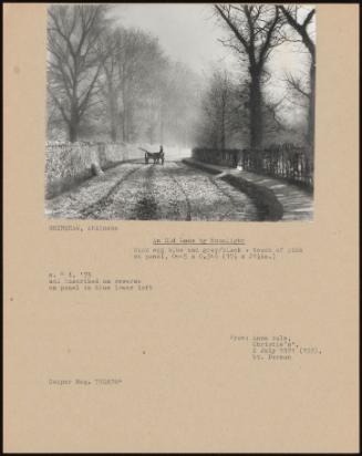 An Old Lane By Moonlight