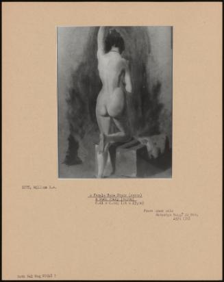 A Female Nude Study (Recto) A Nude Study (Verso)