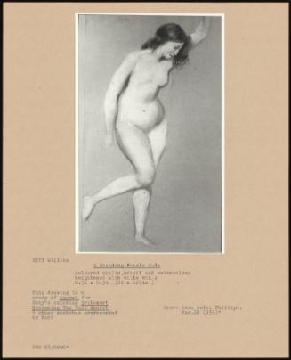 A Standing Female Nude