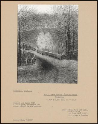 Ghyll, Beck Bridge, Barden Tower, Yorkshire