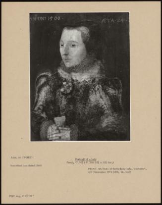 Portrait Of A Lady