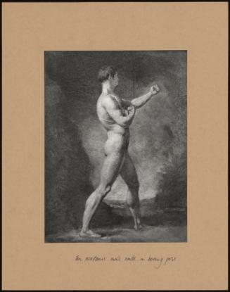 An Academic Male Nude In Boxing Pose