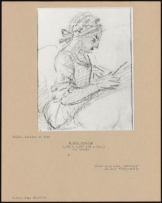 A Lady Reading