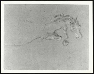 Sketch of a Fallen Horse: for Bradshaw's Defence of Manchester