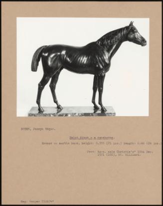 Saint Simon - A Racehorse.