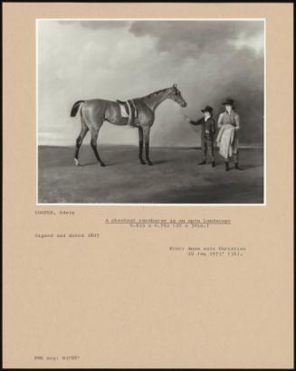 A Chestnut Racehorse In An Open Landscape