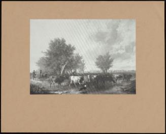 Cattle Crossing A Stream In An Open Landscape