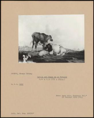 Cattle And Sheep By An Estuary