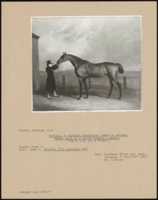 Truffle, A Chestnut Racehorse, Owned By Colonel Udney, Held By A Groom Outside A Stable