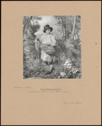 The Young Woodcutter
