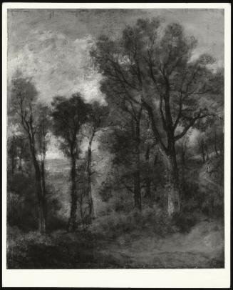 Wooded Landscape