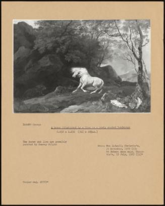A Horse Frightened By A Lion In A Rocky Wooded Landscape