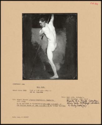 Male Nude