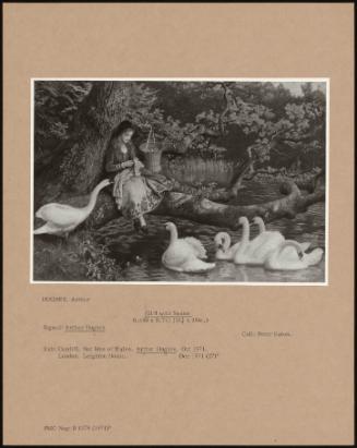 Girl With Swans