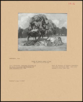 Study of Cattle Under a Tree