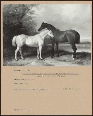 Favourite Horses, The Property Of The Marquis Of Worcester