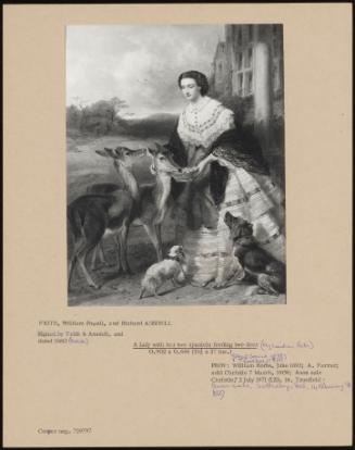 A Lady With Her Two Spaniels Feeding Two Deer