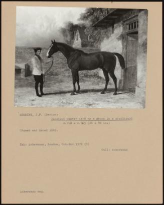 Chestnut Hunter Held By A Groom In A Stableyard