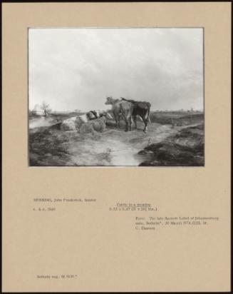 Cattle In A Meadow