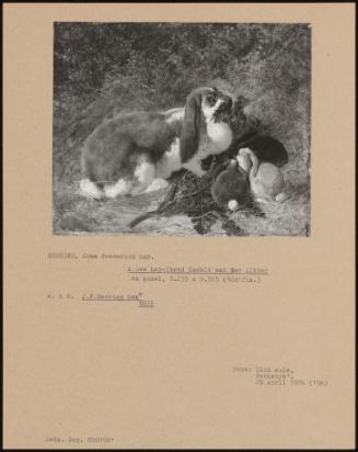 A Doe Lop-Eared Rabbit And Her Litter