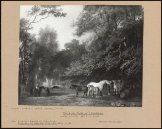 Mares And Foals In A Landscape