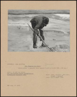 Man Digging On Shore