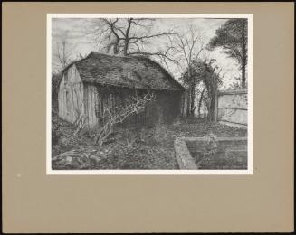 An Ivy - Covered Timber Shed