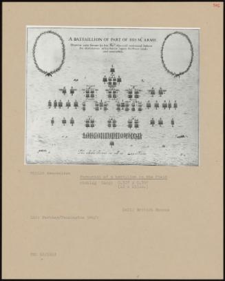 Formation Of A Battalion In The Field