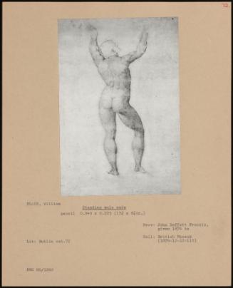 Standing Male Nude