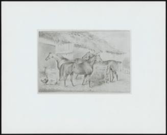 Farmyard Scene (Three Horses Outside a Barn); 3 Horses Outside Stable Door