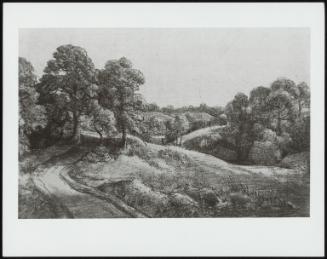 View Near Patwnth–Wooded Landscape