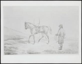 Trainer Walking a Horse Wearing a Dumb Jockey