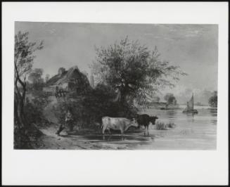 Woman with a Dog Tending Cattle