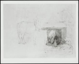 Study of Cows