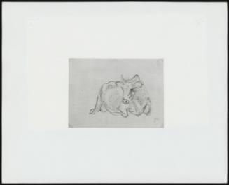 Study Of A Cow - One Of 24 Originally Bound