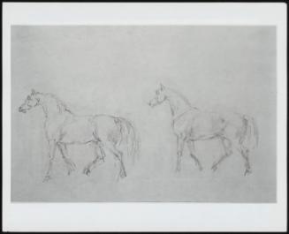 Study Of Two Horses Facing Left - One Of 24 Originally Bound