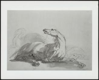 A Sketch Of A Horse Lying On Its Side With Head Raised