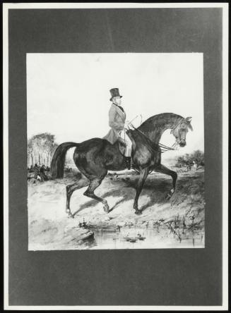 Equestrian Portrait Of Horse Cherterfield