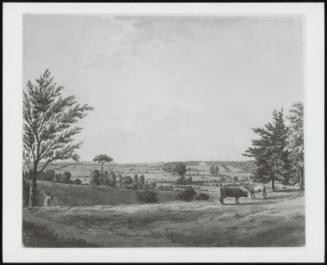 Landscape with a Distant House