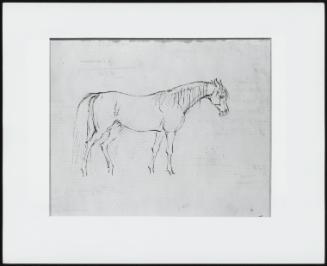 Study for a Mare; Verso: Same Study Gone Over Ink